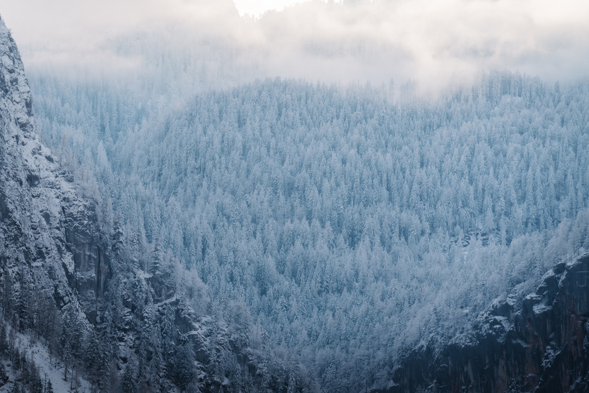 Nginx 编译开启 Quic 或 HTTP/3